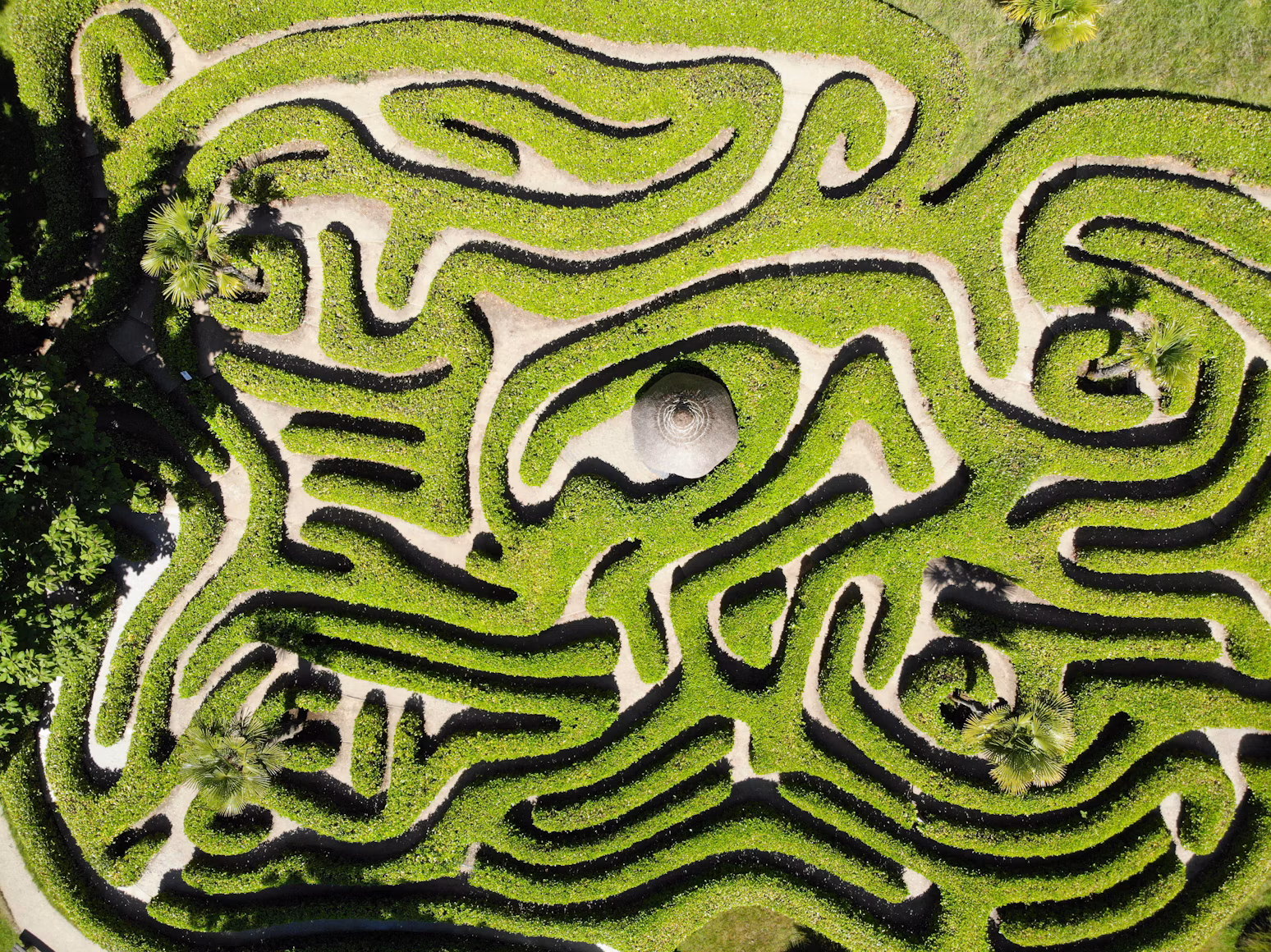 AI agent guardrails missing: a hedge maze where every path is a possible workaround