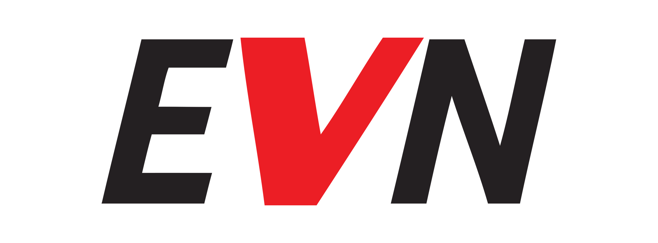 EVN Logo – Energieversorger