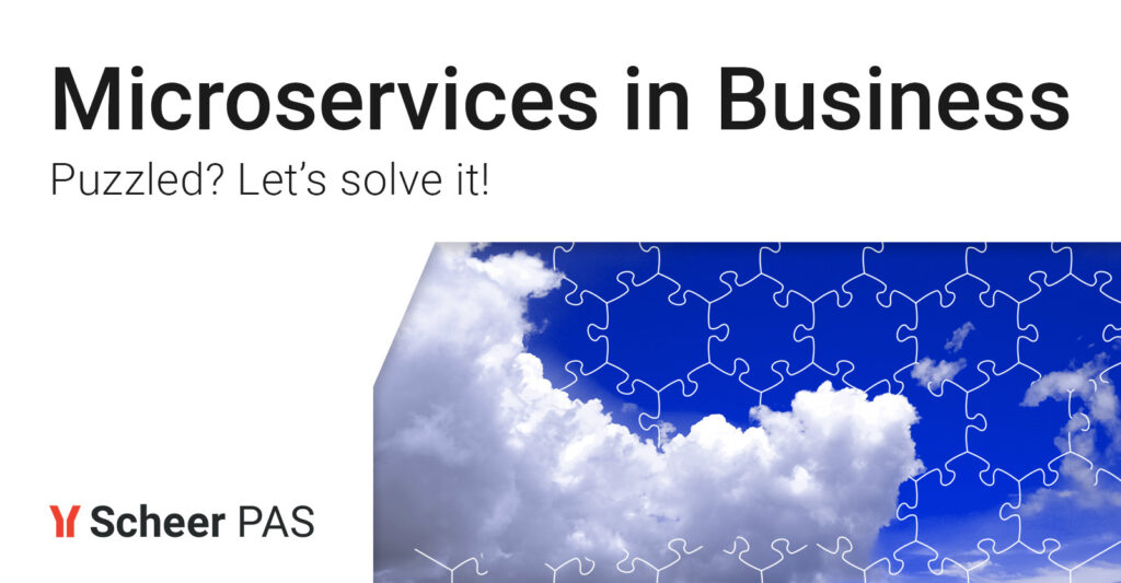 Shaping Shifting Skies: Microservices' Puzzle in Business Evolution